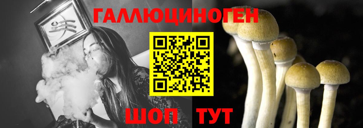 Галлюциногенные грибы Psilocybe  Вход с VPN  Наро-Фоминск 